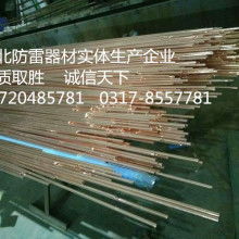 新昌县威科特防电防雷器材厂 铜包钢接地棒与防雷专家的守护者